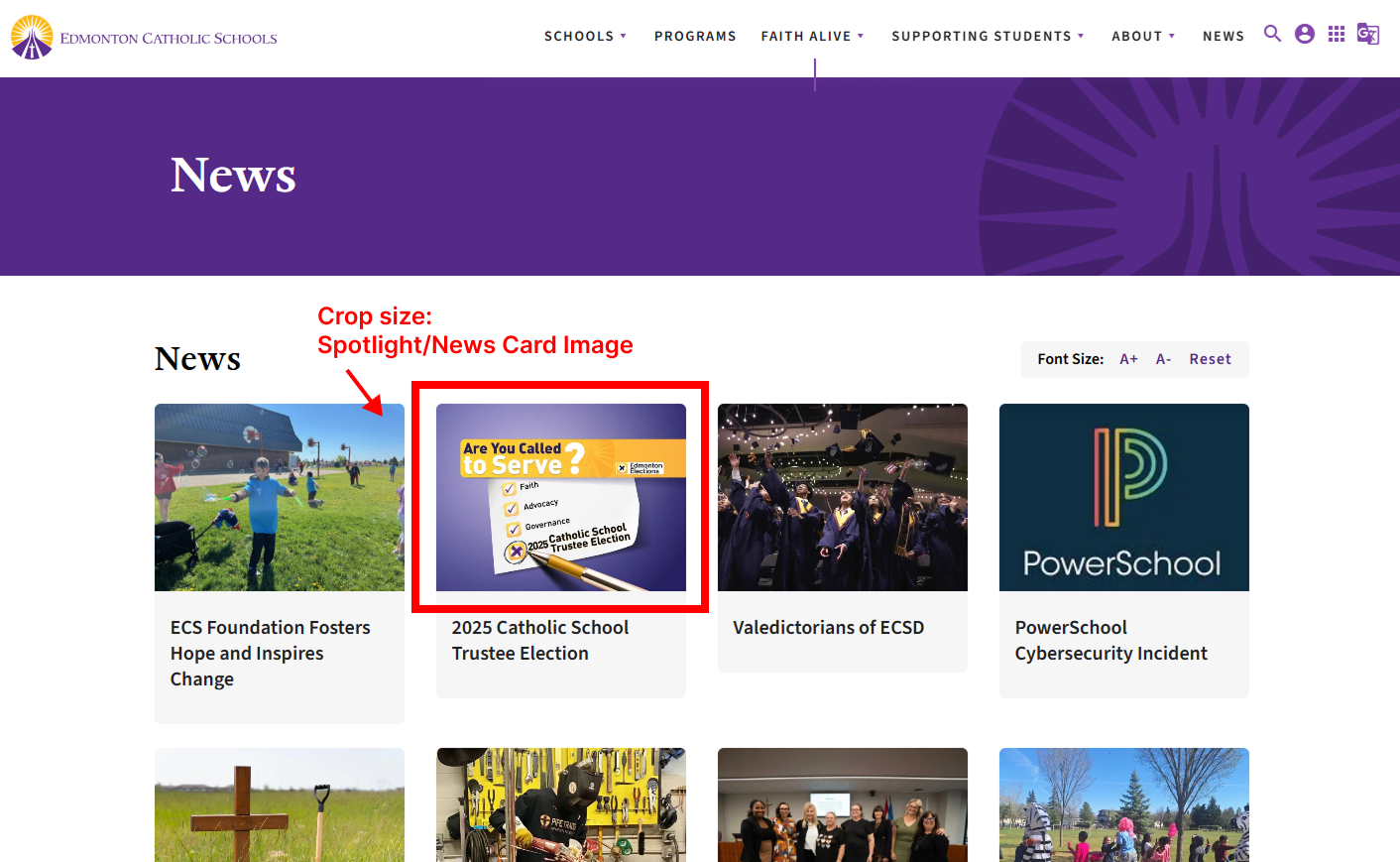 Spotlight and news card size