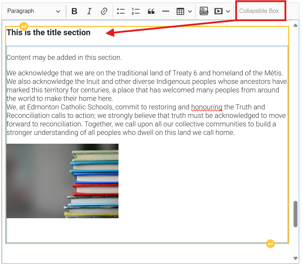 A collapsible box in the editor